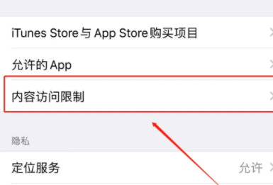苹果15设置内容访问权限方法插图3