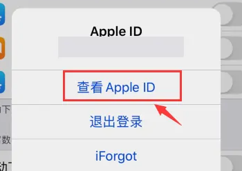 苹果15查看苹果账号方法步骤插图4