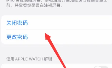 苹果15设置密码方法插图2