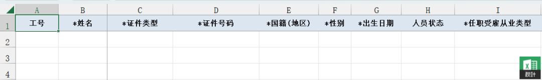 个税信息填写模板中4个超级实用的Excel 技巧插图1