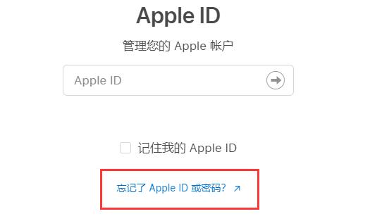 苹果id密码忘了解决方法插图5