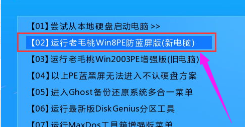 0x00000ed蓝屏强制进系统的方法插图3