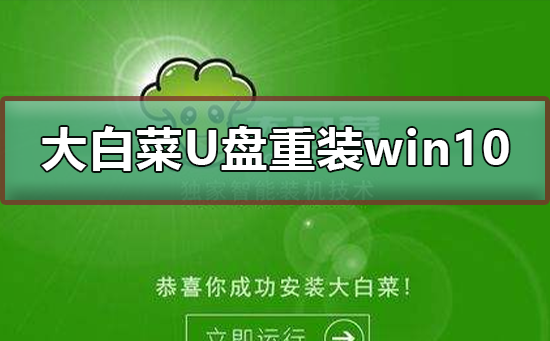 大白菜U盘重装win10系统教程插图