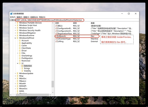 macbook升不了win11解决方法插图2