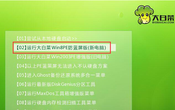 电脑大白菜u盘装系统详细教程插图4