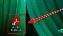 Adobe Acrobat Reader DC怎样放大文档内容？Adobe Acrobat Reader DC放大文档内容的方法