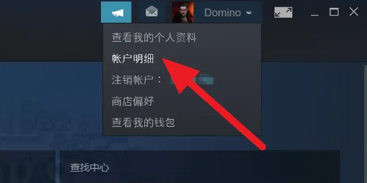 steam账号区服怎么看插图1