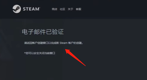 steam账号怎么注册插图3