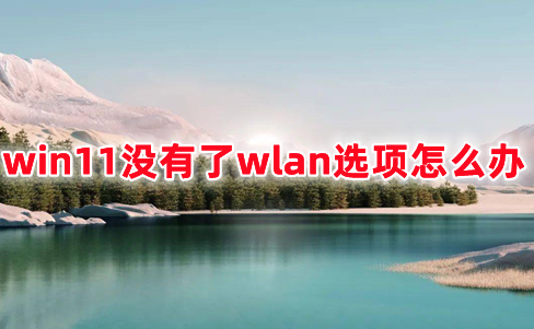 win11没有了wlan选项怎么办 win11电脑wlan选项不见了的解决办法分享
