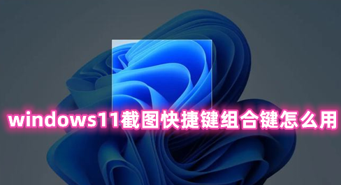 windows11截图快捷键组合键怎么用 windows11如何截图的方法分享