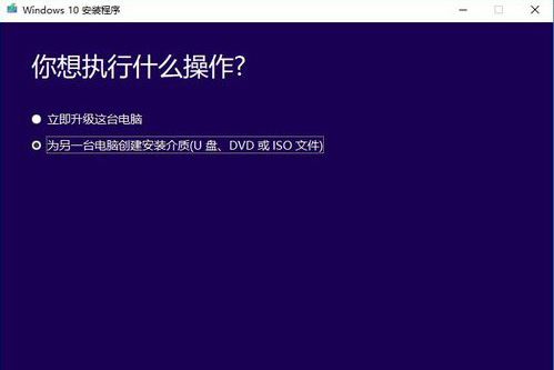 电脑如何升级为最新版windows 10插图3