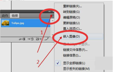 Adobe Illustrator cs5怎样嵌入图片快捷键？Adobe Illustrator cs5嵌入图片快捷键的方法截图