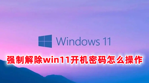 强制解除win11开机密码怎么操作 win11怎么取消开机密码