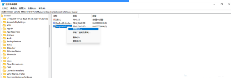 Win11运行VMware蓝屏？Win11VMware虚拟机蓝屏解决办法