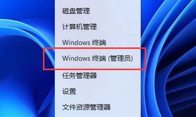 Win11照片查看器闪退怎么办？Win11照片查看器闪退解决方法