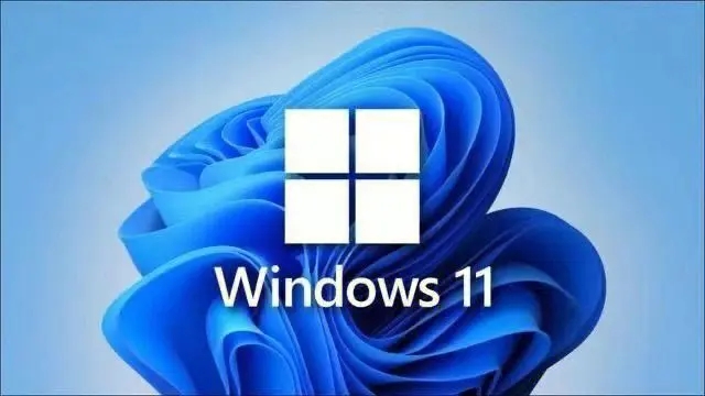 win11系统常用的美化有哪些？win11系统常用美化方法