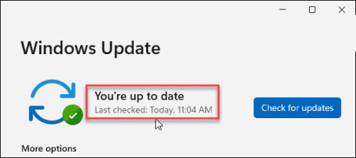 Win11补丁如何更新 Win11补丁更新详细介绍