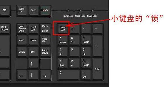 Win11wifi密码输入不了怎么办 Win11wifi密码输入不了解决方法