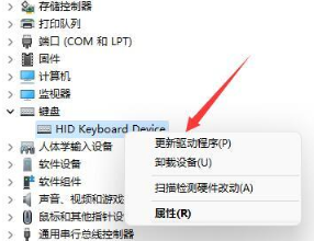 Win11键盘失灵怎么办？Win11键盘失灵的解决方法