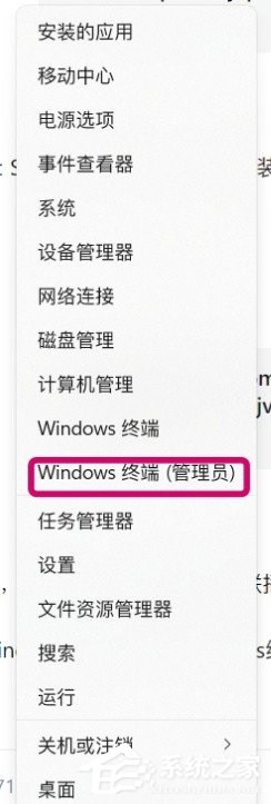 电脑怎么安装WSA WSA微软官方安装教程