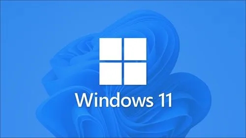 Win11显示不满足系统要求,转至设置了解详细信息 文字怎么去除？