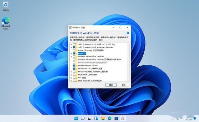 Google Play怎么安装？Win11安装运行Google Play商店方法
