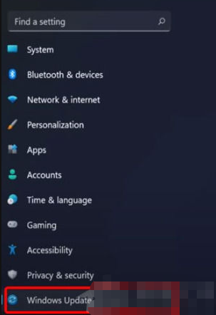 Win11怎么更新显卡驱动 Win11更新不了显卡驱动怎么办