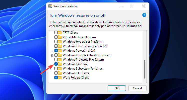 Windows沙盒无法连接网络？Win11中Sandbox沙盒不能联网解决教程