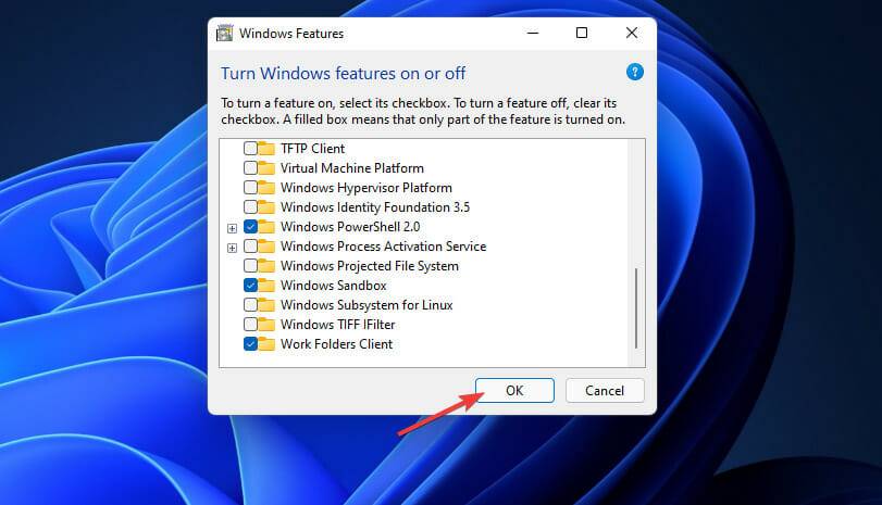 Windows沙盒无法连接网络？Win11中Sandbox沙盒不能联网解决教程