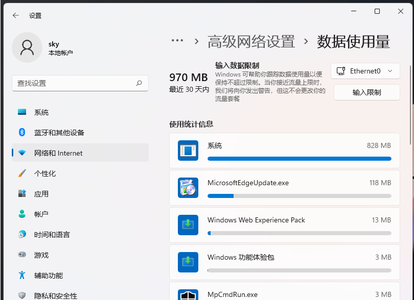 Win11怎么看用了多少流量？Win11查看数据使用量方法