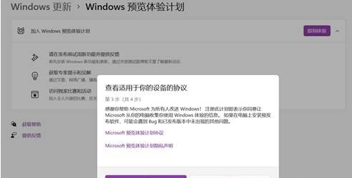 Windows11预览体验计划怎么加入？怎么退出Windows11预览体验计划？