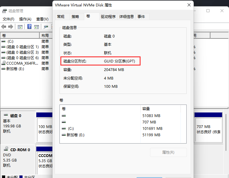 怎么查看分区格式？Win11看磁盘分区形式的方法