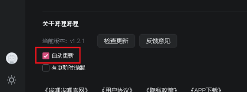 哔哩哔哩怎样设置自动更新版本？哔哩哔哩设置自动更新版本的方法截图