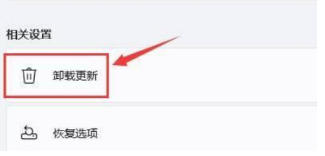 笔记本升级Win11黑屏死机如何解决？