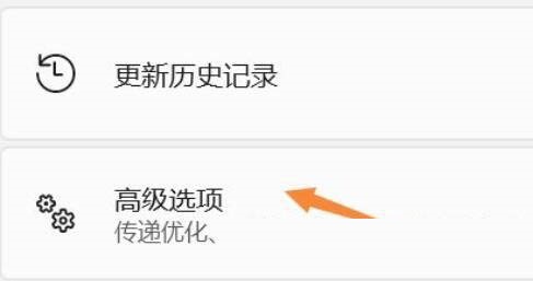 Win11如何禁用驱动程序强制签名？驱动程序强制签名怎么关闭？