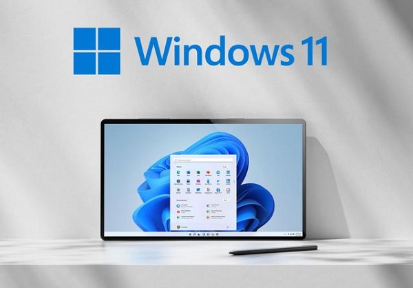 Win11无线鼠标没反应怎么办？无线鼠标不能用是什么原因？