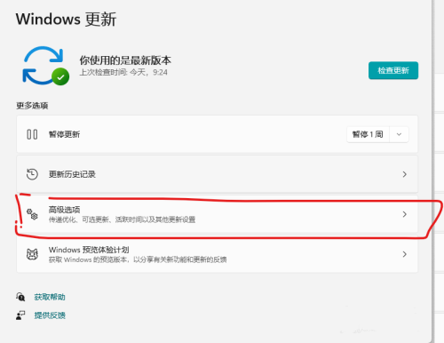 Win11传递优化怎么关？Win11关闭传递优化的方法