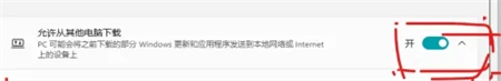 Win11传递优化怎么关？Win11关闭传递优化的方法