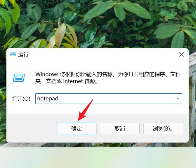Win11如何更改记事本字体大小？Win11更改记事本字体大小的方法