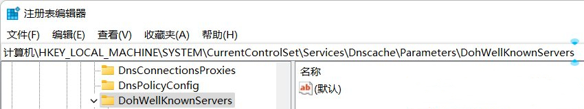 Win11无法DNS加密？Win11首选的DNS加密无法选择的解决方法