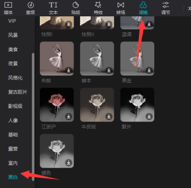 剪映专业版如何设置黑白滤镜？剪映专业版设置黑白滤镜的方法截图