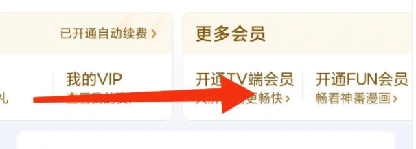 爱奇艺会员12元一个月怎么开通插图