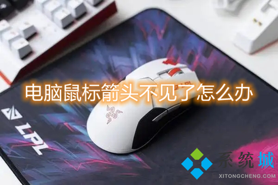 电脑鼠标箭头不见了怎么办 电脑鼠标消失了怎么恢复