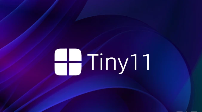 win11精简版tiny11下载-Tiny11 22H2精简版中文百度网盘下载插图