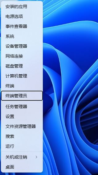 Win11小图标不显示怎么办？Win11文件夹中小图标空白解决办法