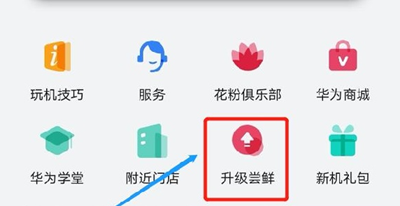 鸿蒙4.0申请入口位置详情插图1