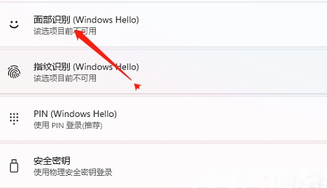 win11面部识别怎么设置插图2