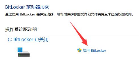 Win11系统分区如何加密？Win11系统分区加密的方法