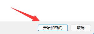 Win11系统分区如何加密？Win11系统分区加密的方法