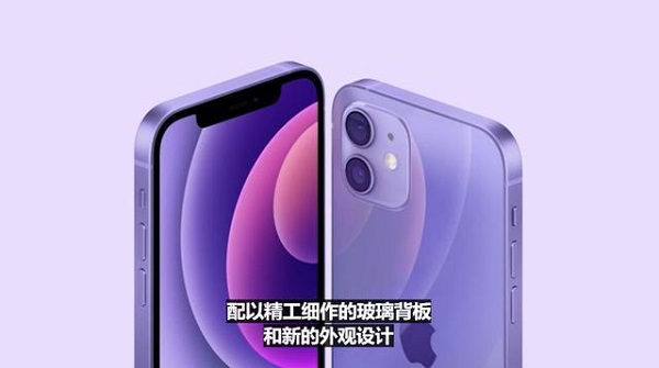 iphone12紫色多大尺寸插图1